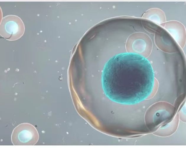 飞纳 Pharos-STEM 在细胞生物学和病理学的应用