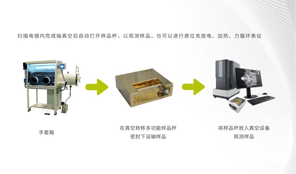 Phenom XL 原位真空转移杯